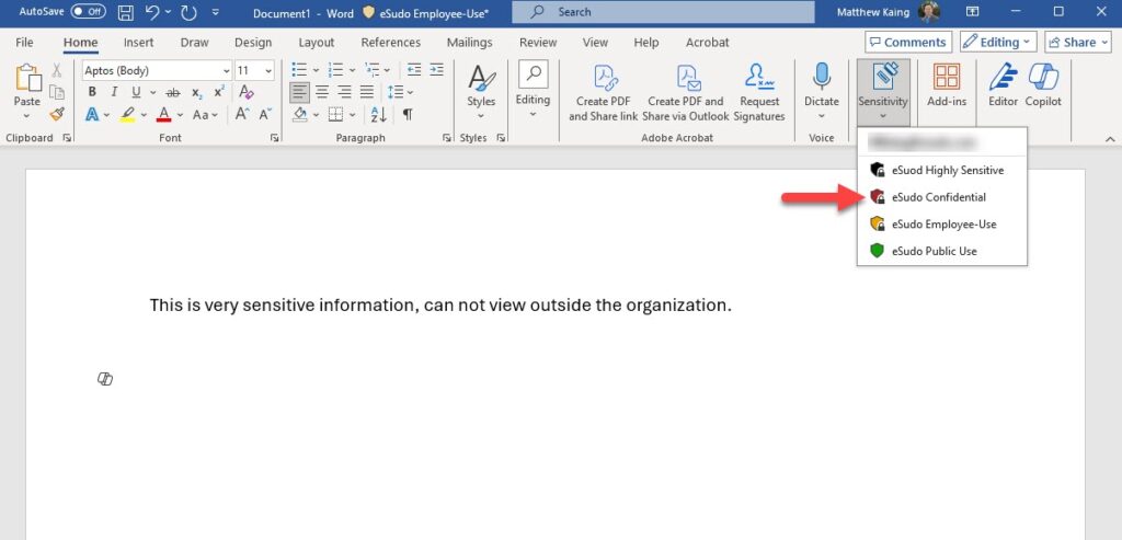 Sensitivity Labels in Word document