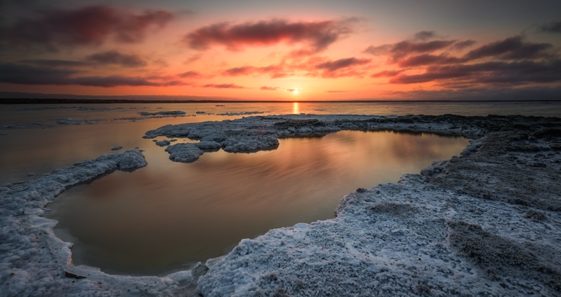 Alviso Marina County Park