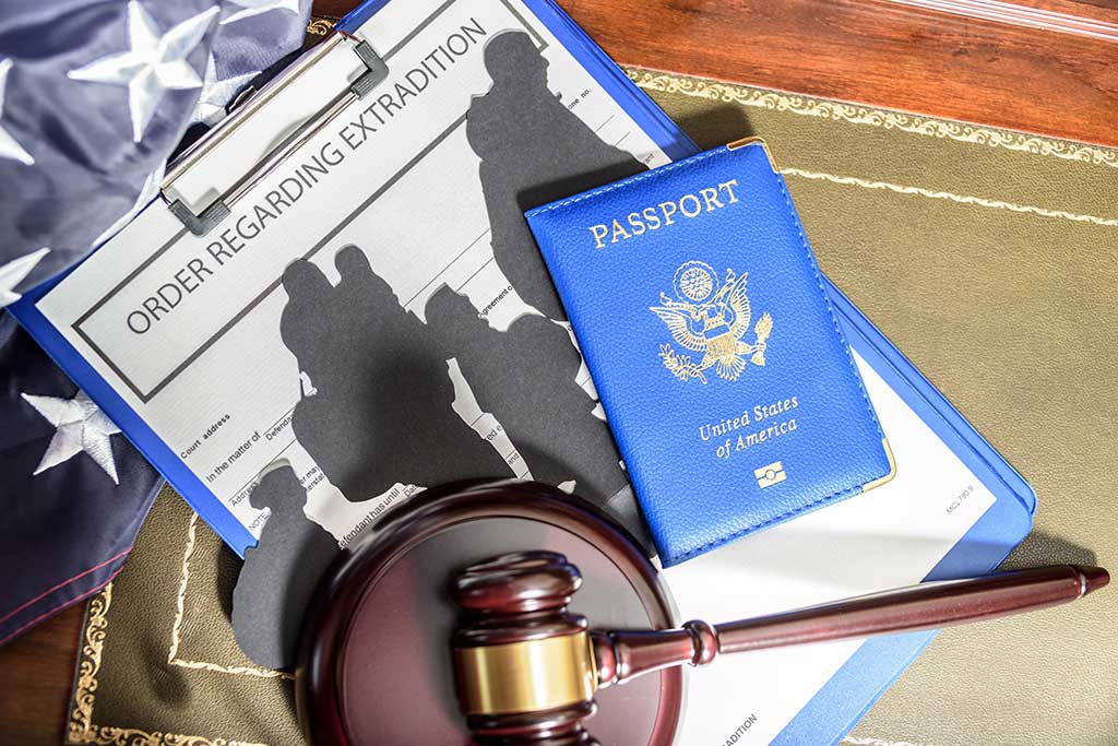 Extradition law - a subfield of immigration law, focusing on extradition cases.